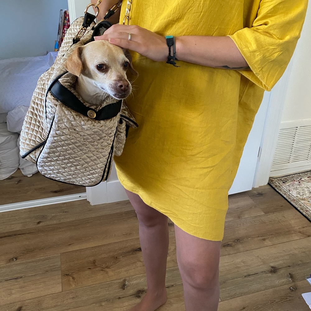 Dog carrier
